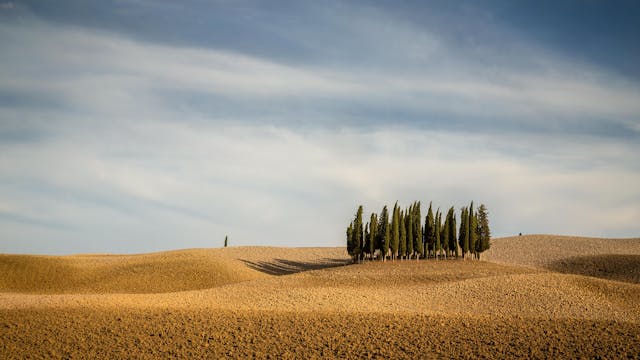 Je bekijkt nu Brunello di Montalcino: van boerenproduct tot cultureel export icoon